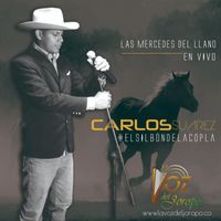Carlos Suarez - El silbon de la copla