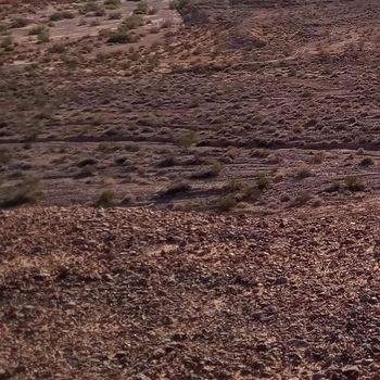 Tim Clark - We Are One but Not