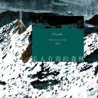 Cicada - Hiking in the Mist