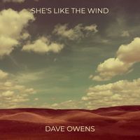 Dave Owens - She's Like the Wind