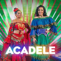 Narcisa - Acadele