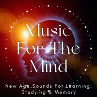 Power Shui - Music For The Mind: New Age Sounds For Learning, Studying & Memory