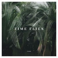 Faure - Time Flies