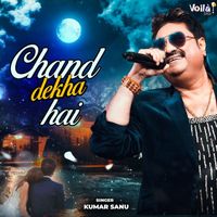 Kumar Sanu - Chand Dekha Hai