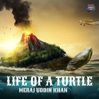 Meraj Uddin Khan - LIFE OF A TURTLE