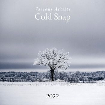 Various Artists - Cold Snap 2022
