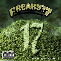 FREAKY 17 - Breakin Down Buds (Explicit)