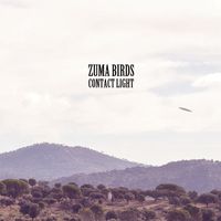 Zuma Birds - Contact Light