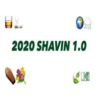 Shavin - 2020 Shavin 1.0 (Explicit)