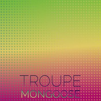 Various Artists - Troupe Mongoose