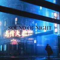 Crilo Beat - Sound Of Night