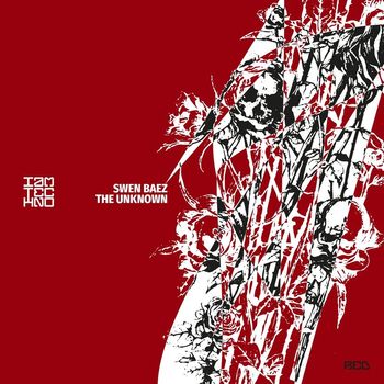 Swen Baez - The Unknown