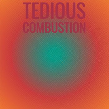 Various Artists - Tedious Combustion