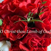 Matt Brown - O Christ thou Lamb of God