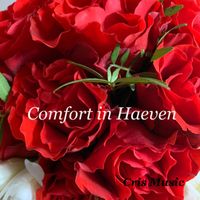 Matt Brown - Comfort in Haeven