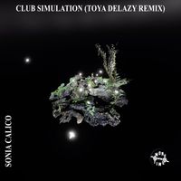 Sonia Calico - Club Simulation (Toya Delazy Remix)
