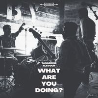 Tangerine Flavour - What Are You Doing?