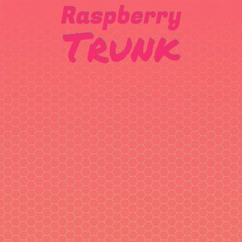 Various Artists - Raspberry Trunk