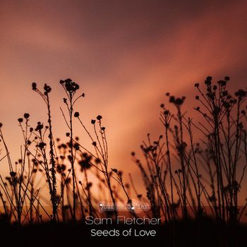 Sam Fletcher - Seeds of Love (Radio Edit)