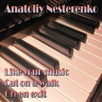 Anatoliy Nesterenko - Like your music