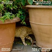Sergio Díaz De Rojas - El gato escondido entre las plantas