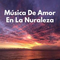 Meditación - Música De Amor En La Nuraleza