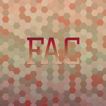 Various Artists - Fac