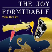 The Joy Formidable - While the Flies (acoustic)