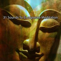 Forest Sounds - 31 Sounds To Encoporate Meditation
