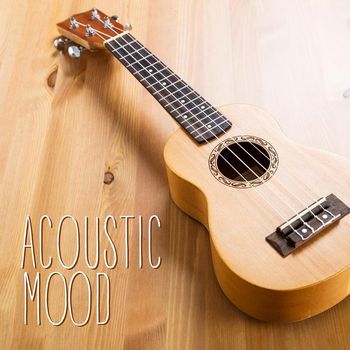 Beepcode - Acoustic Mood
