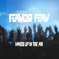 Flavor Flav - Hands Up in the Air (Radio Edit)