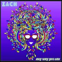 Zach - Any Way You Can (Explicit)