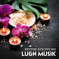 Avslappning Musik Akademi and Lugn Musik Atmosfär - Exotisk avkoppling (Lugn musik för sömn och avkoppling med mjuka naturljud, Bakgrundsmusik för spa och massage)