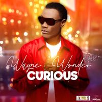 Wayne Wonder - Curious