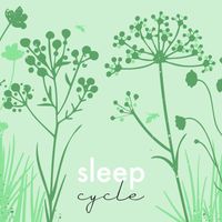 Nursery Rhymes Baby TaTaTa and Sleep Cycle Music - Calming Music for Children