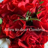 Matt Brown - Adieu to dear Cambria