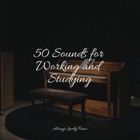Los Pianos Barrocos, Calming Music Academy, Relaxing Piano Music Universe - 50 Sounds for Working and Studying