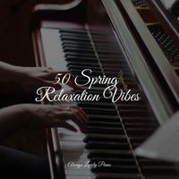 Study Power, Piano Masters, Ambient Piano - 50 Spring Relaxation Vibes