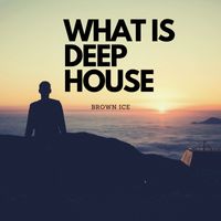 Brown Ice - What is deep house