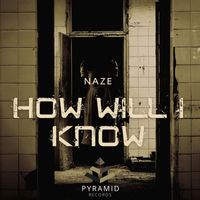 Naze - How Will I Know