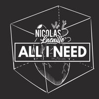 Nicolas Lacaille - All I Need