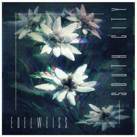 South City - Edelweiss