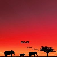 S&B - Safari O'Congo