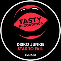 Disko Junkie - Star To Fall