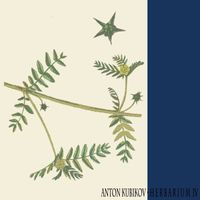 Anton Kubikov - Herbarium Part Four