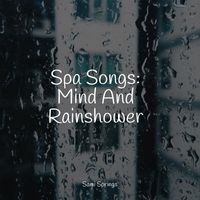 Sons da Natureza & Relaxamento, Reiki Music, Sonido Del Bosque y Naturaleza - Spa Songs: Mind And Rainshower