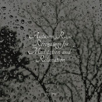 Easy Sleep Music, Elements of Nature, Water Soundscapes - Autumn Rain Recordings for Meditation and Relaxation