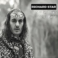 Richard Star - More Than You Want (Single Version)
