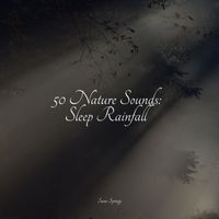 Pro Sound Effects Library, Sonidos de la Naturaleza, Nursery Rhymes - 50 Nature Sounds: Sleep Rainfall