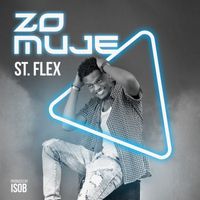 St. Flex - Zo Muje (Explicit)